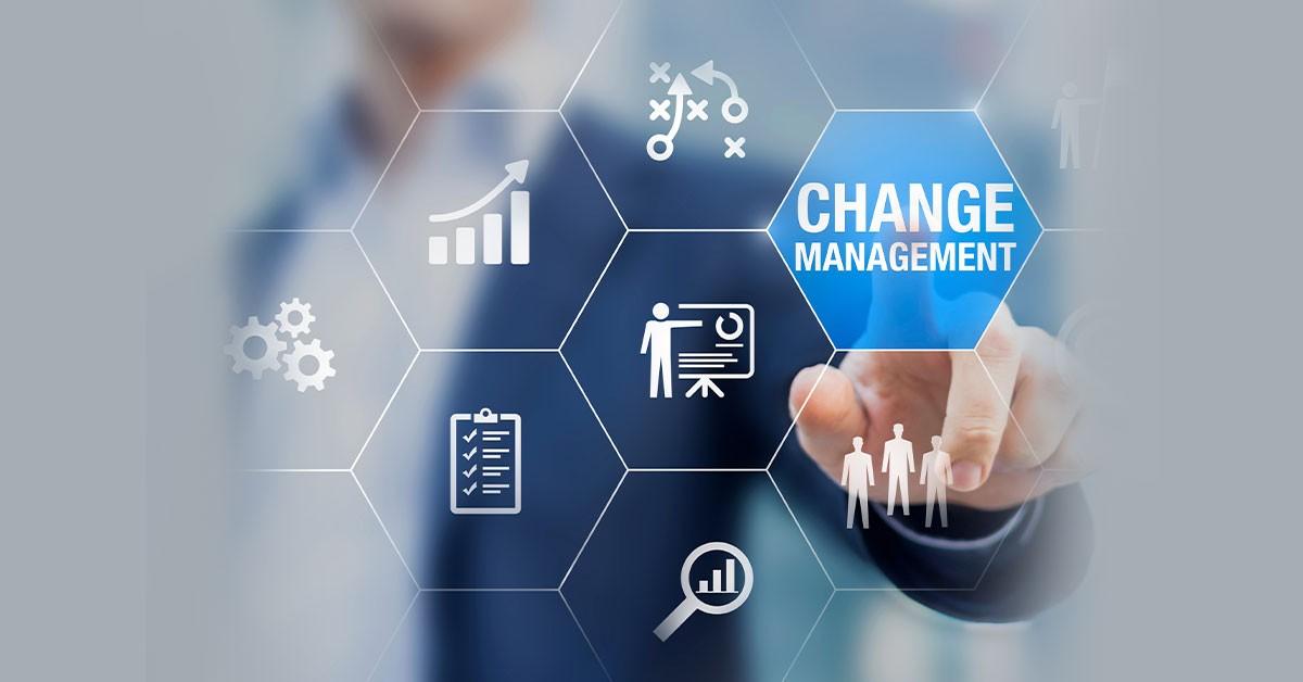 Change Management: Successfully Navigating Organizational Change