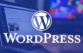 WordPress SEO: Optimizing Your Site for Better Search Rankings